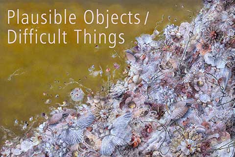 Plausible Objects / Difficult Things